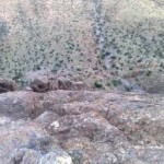 حكاية الوحش الذي أصبح 