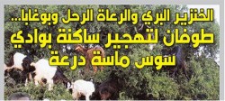 الخنزير البري والرعاة الرحل و الخنزير البري والرعاة الرحل و