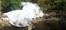 السلطات الأمنية تفك لغز جريمة قتل بـ
