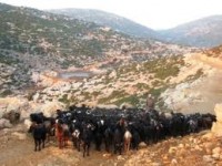 جمعية بـ