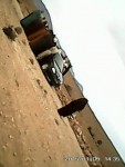 موجهات بـ