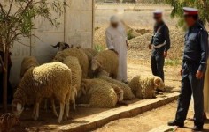 الدرك الملكي لـ