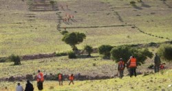 عملية إحاشة الخنزير البري بـ