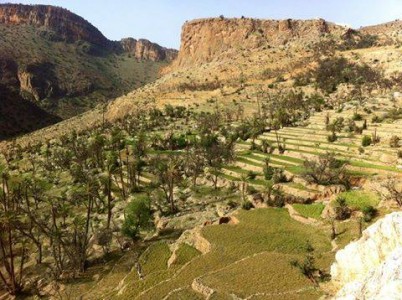 مدرجات فلاحية