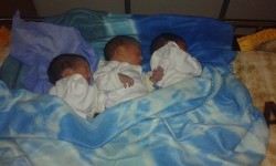 التوائم الـ5 للسيدة المنحدرة من جماعة 