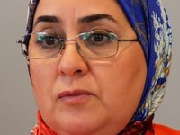 الحق الدستوري في الحصول على المعلومات