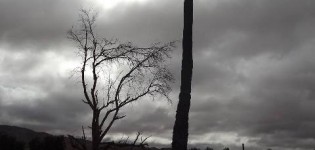 جماعة تيمولاي .. الفرشة المائية مهددة بالتلوث جماعة تيمولاي .. الفرشة المائية مهددة بالتلوث