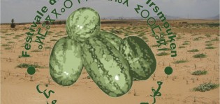 إرسموكن ضواحي تيزنيت تحتضن فعاليات مهرجان 