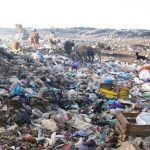 مطرح نفايات يثير حفيظة جمعيات بسيدي إفني