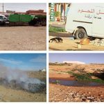 منظمة بيئية تصدر بيانا عقب ظهور حالات إصابة بداء اللشمانيا ضواحي تيزنيت